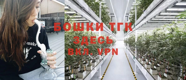 прущие крисы Карпинск
