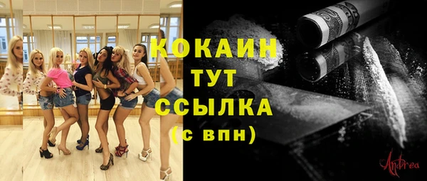прущие крисы Карпинск