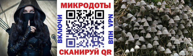 Псилоцибиновые грибы Psilocybe  Купить закладки  Междуреченск 